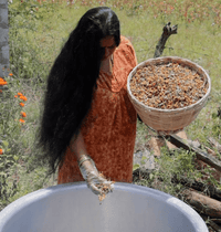 Adivasi Neelabari 100% Herbal Hair Oil for Men & Women