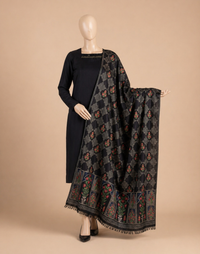 Bareeze FCC-537 Black Embroidered Dhanak 3PC Winter Collection